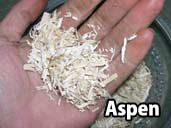 Aspen - a suitable substrate for Hognose Snakes