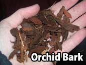 Orchid Bark - can sometimes be too humid for Hognose Snakes